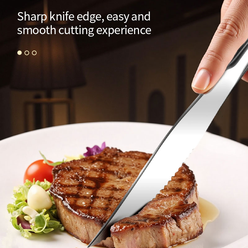 High-End Stainless Steel Trave - Camping Cooking Knife Set review and price