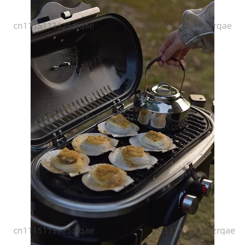 Outdoor Indoor Gas Cooking Sto - Camping Cooking Range review and price